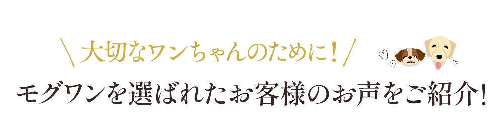 大切なワンちゃんのために!モグワンを選ばれたお客様の声をご紹介!