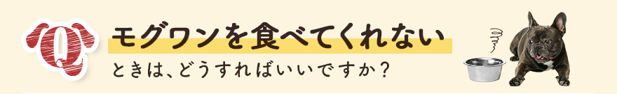 モグワンを食べてくれないときは、どうすればいいですか?